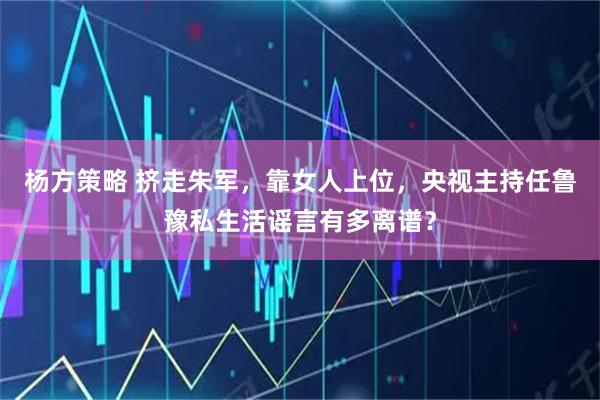 杨方策略 挤走朱军，靠女人上位，央视主持任鲁豫私生活谣言有多离谱？