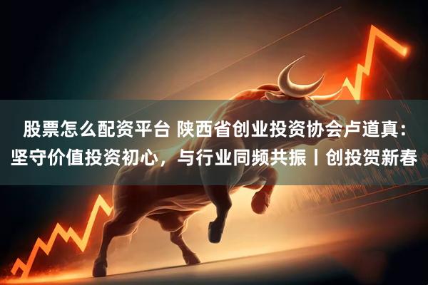 股票怎么配资平台 陕西省创业投资协会卢道真：坚守价值投资初心，与行业同频共振丨创投贺新春